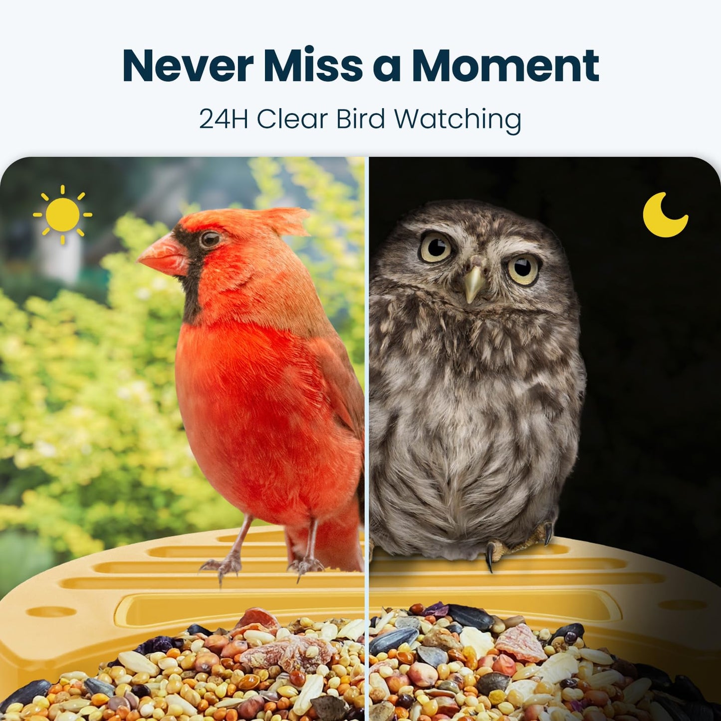 Smart Bird Feeder with Camera, Yellow