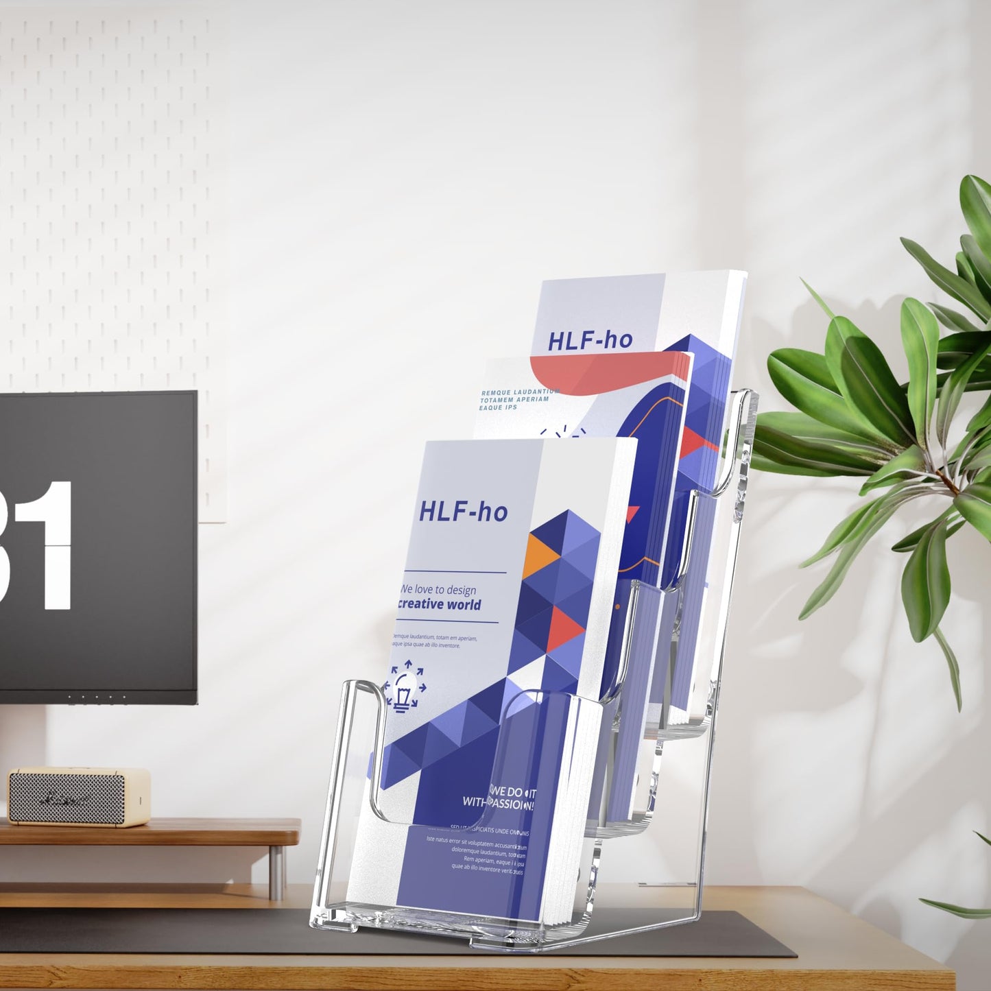 HLF-ho Brochure Holder 4x9 Inch 3 Tier Acrylic Literature Holders Clear Plastic Flyer Display Stand Countertop Use or Wall Mount Pamphlet Holder Organizer for Office, Lobby, Hotel, Trade Show, 4 Pack