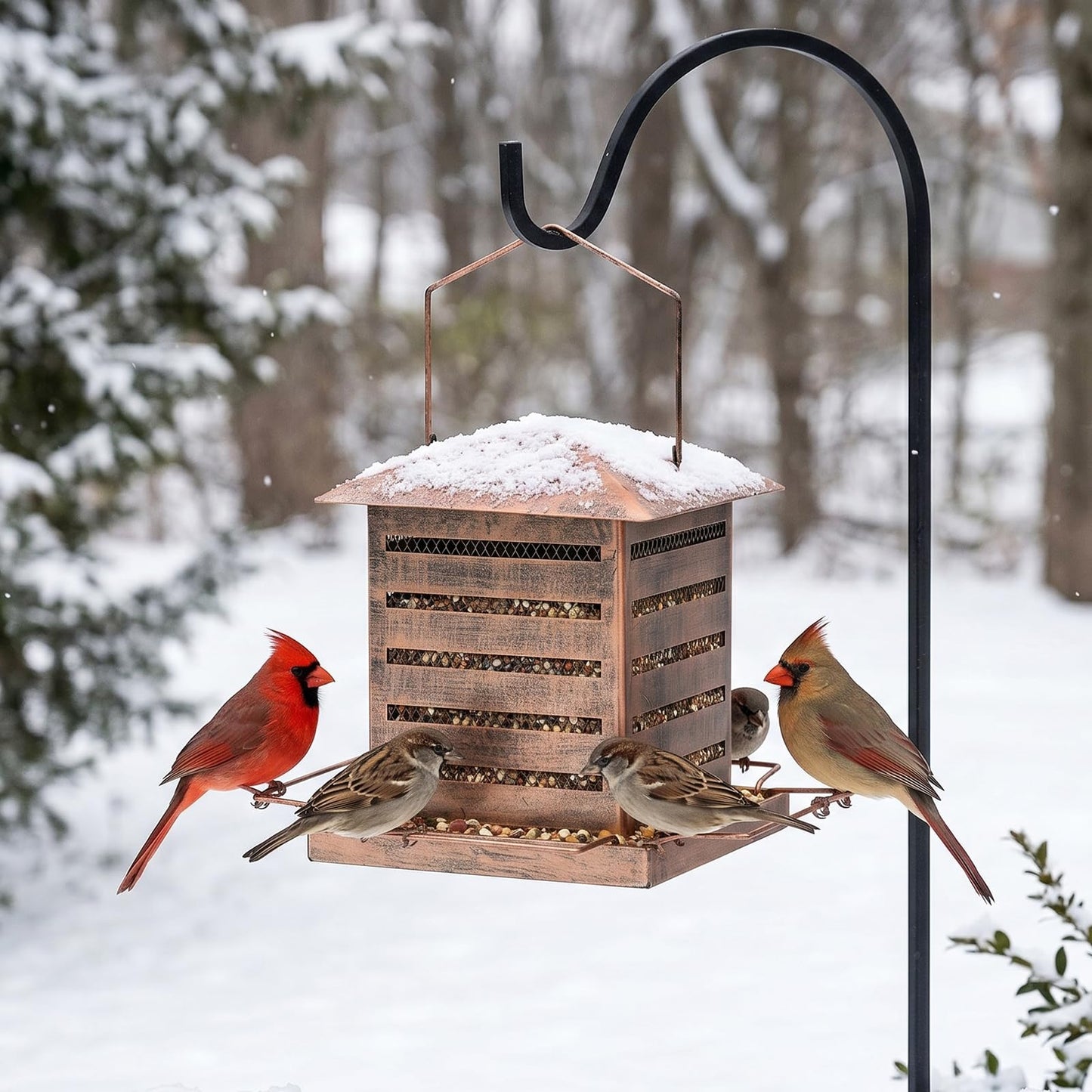 IWNTWY Bird Feeder, 3 LB Large Capacity Metal Bird Feeders for Outdoor Hanging, Heavy Duty Wild Birdfeeder with 4 Perches, Sturdy & Easy to Refill