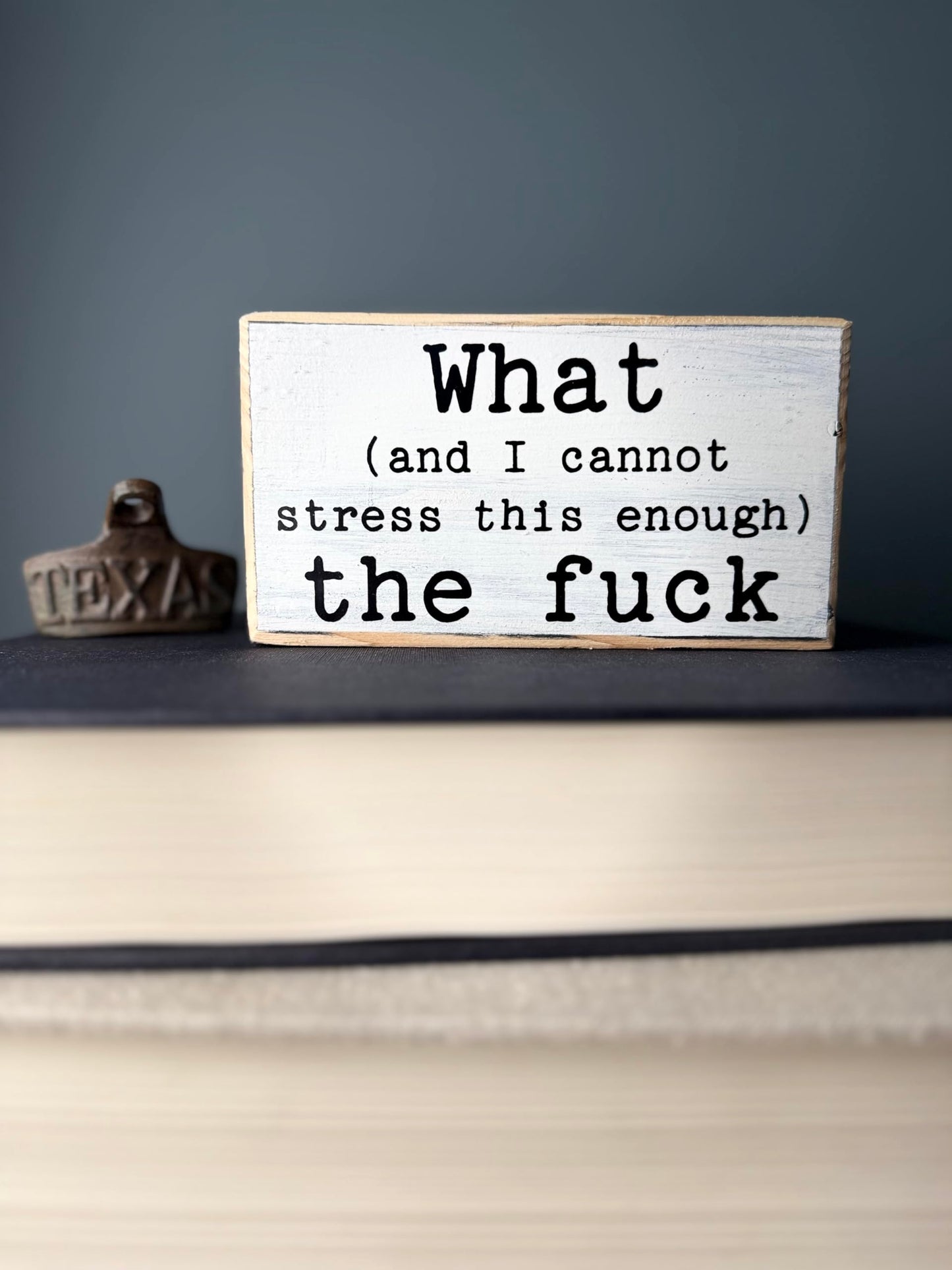 What (and I cannot stress this enough) the f*ck. Office desk wood sign. Wooden shelf sitter. Cubicle quotes. Gifts with quotes. Gift for best friends. Morning motivation. Quote of the day.