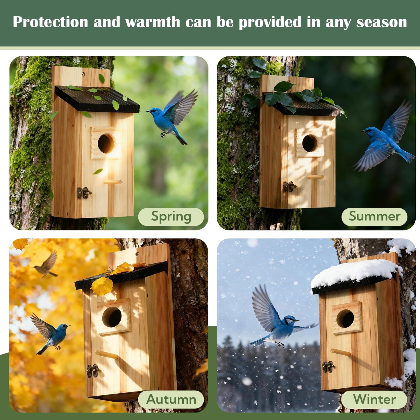 2 Pack Bird Houses for Outside – Cedar Outdoor Bird House with Stand, Quick & Easy Assembly, Ideal for Bluebird, Finch, Wren & Chickadee