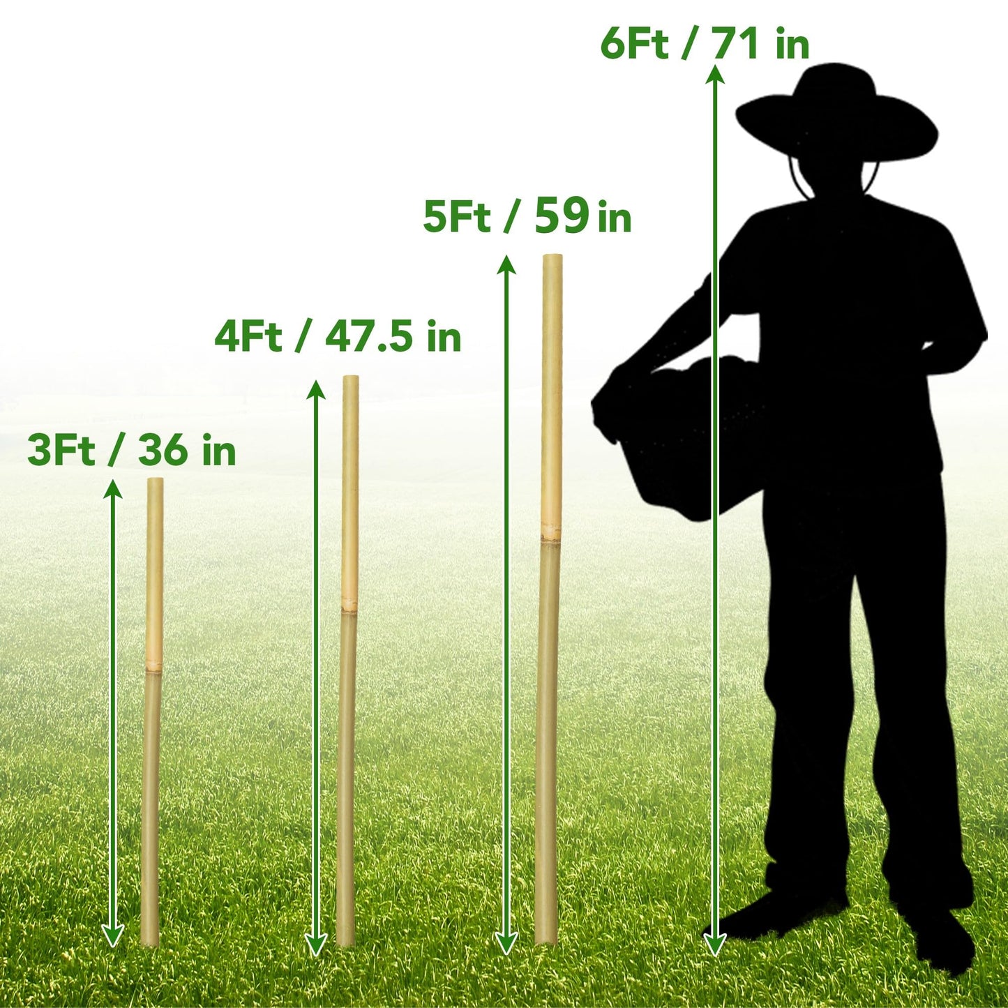 Taoskai 60Pcs Bamboo Stakes for Plant 3 Feet, Garden Bamboo Plant Stakes for Plants Support, Climbing Plants, Tomatoes, Sunflowers, Beans, Potted Plants, Trees