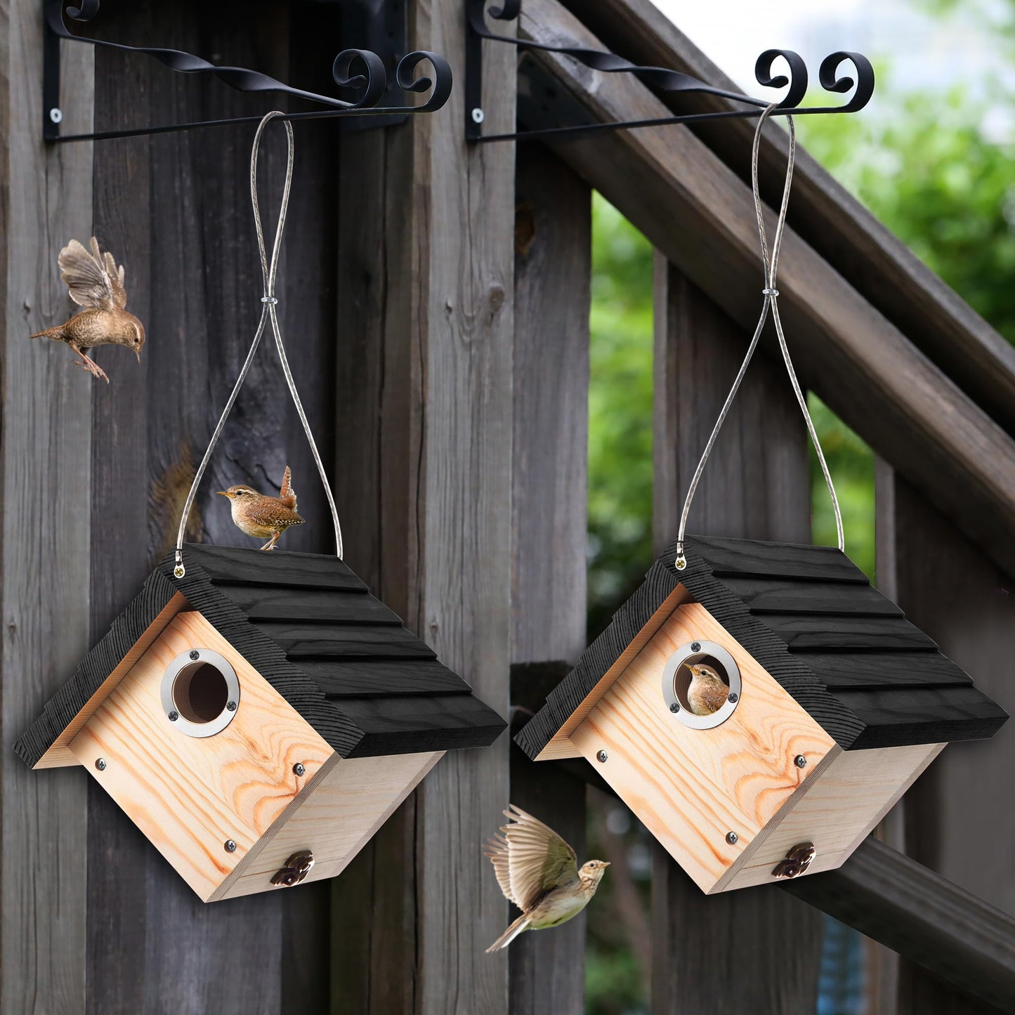 Dreyoo 1 Pack Wren House, 1-1/8'' Entrance Hole Hanging Wooden Wren Bird Houses for Outside with Metal Guard, Air Vents, Pine Wood for Chickadees(Black)