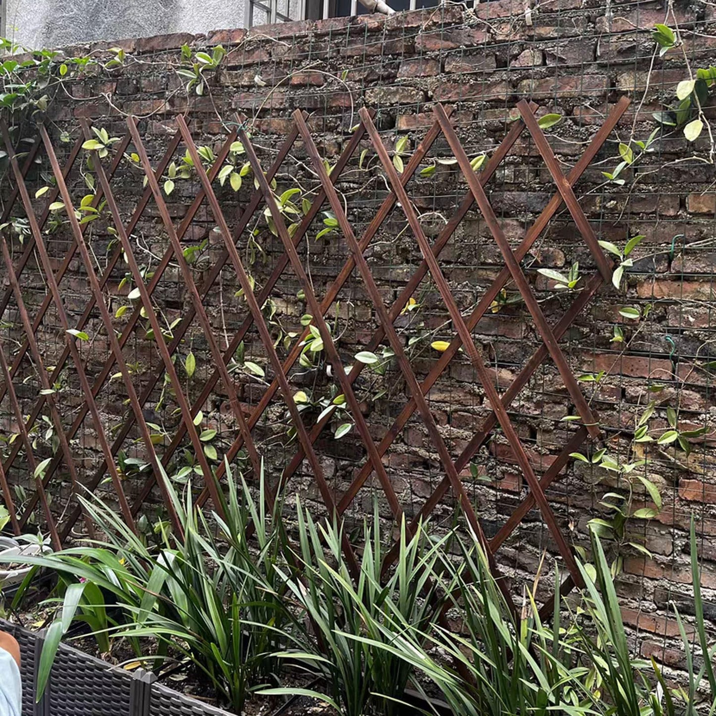 Expandable Garden Trellis, Trellis for Climbing Plants Outdoor, Wooden Lattice Fence Wall Panel Lattice Panels for Outside, for Climbing Plants Vine Ivy Rose Clematis (37" x 90", 1PC)