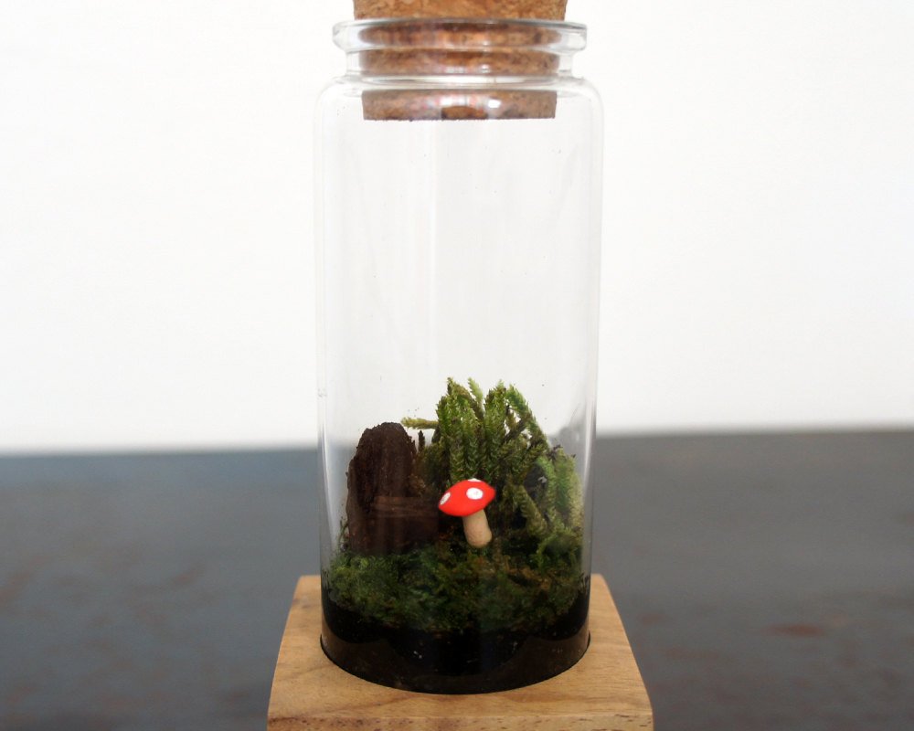 Moss + Twig Terrarium Kit with Wood Base - Handmade in New York City, NY