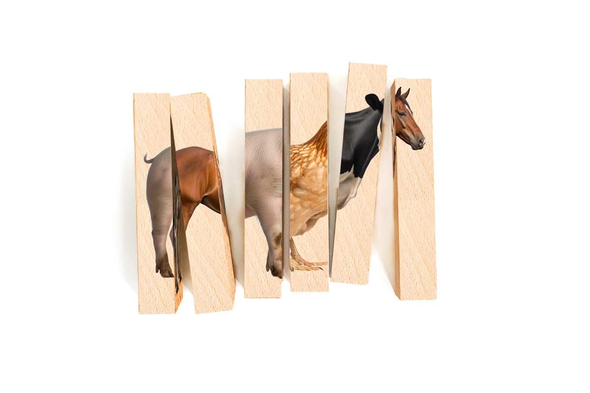 Wooden Animal Chunky Puzzles for Toddlers 2+ Years - Montessori 4 in 1 Farm Animal Block Puzzle Toy