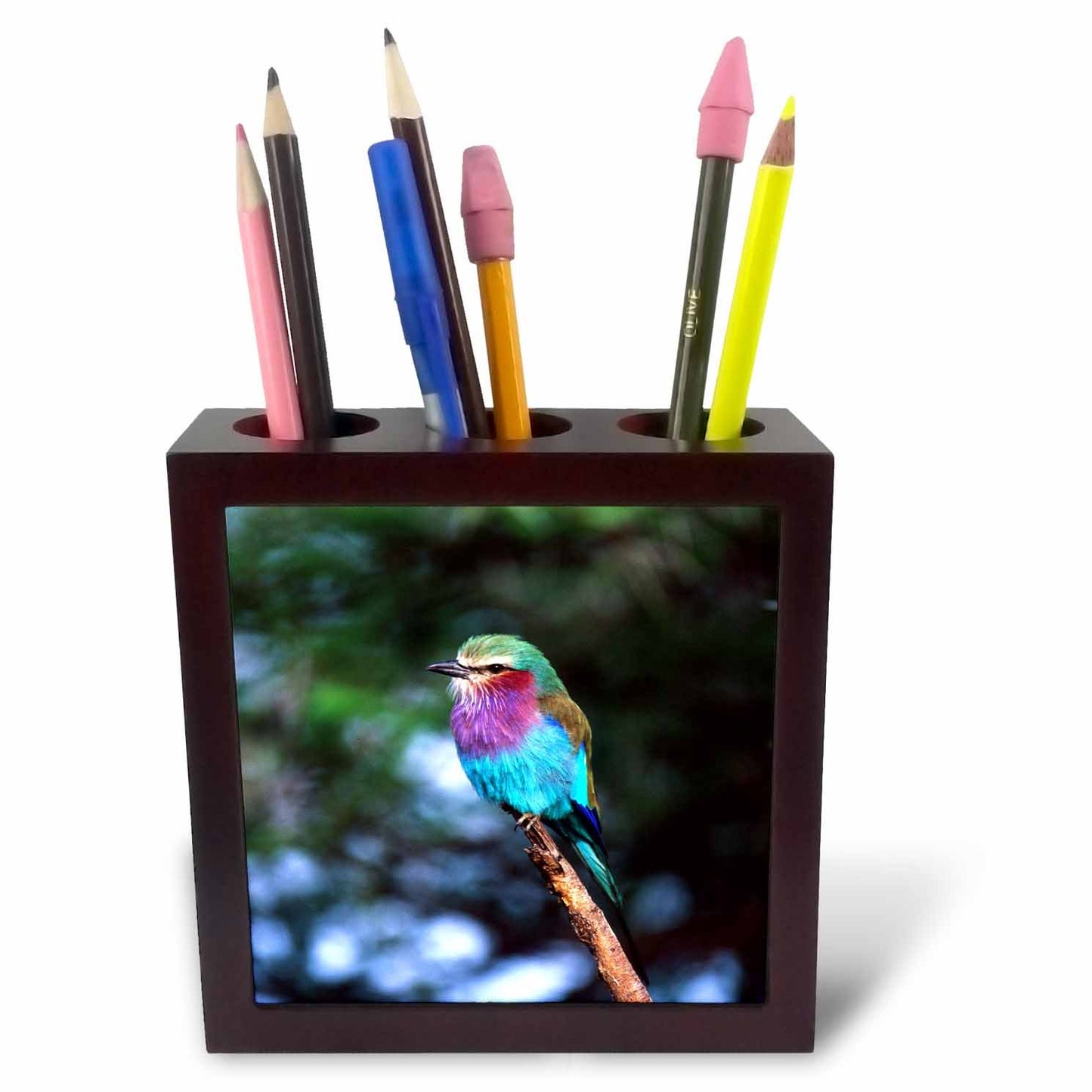 3dRose ph_83834_1 Lilac Breasted Roller, Bird, Tanzania Africa - NA02 DNO0171 - David Northcott - Tile Pen Holder, 5-Inch