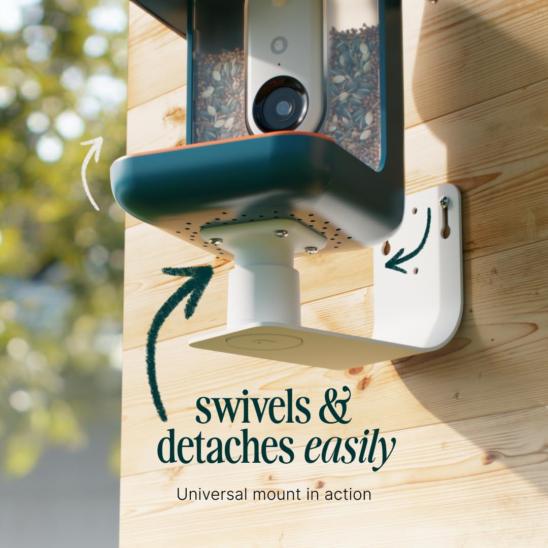 Birdbuddy Wall Mount - Versatile Bird Feeder Wall Mount for Wall & Fences - Durable, Weather-Proof Heavy Duty and Secure & Stylish Outdoor Feeder Accessory