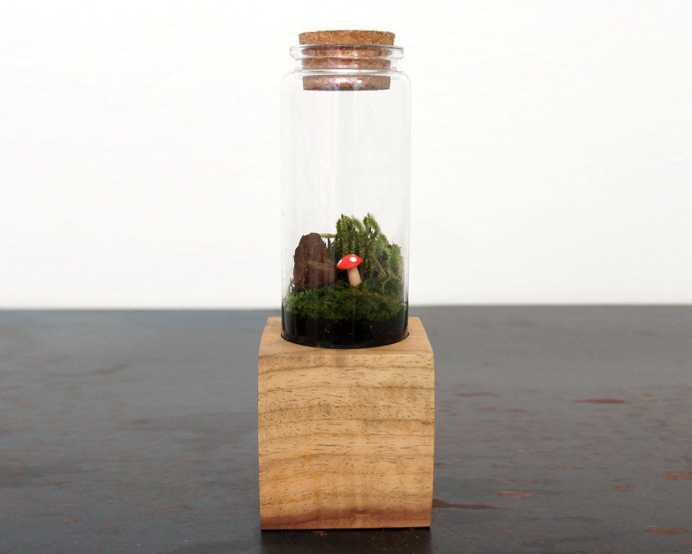 Moss + Twig Terrarium Kit with Wood Base - Handmade in New York City, NY