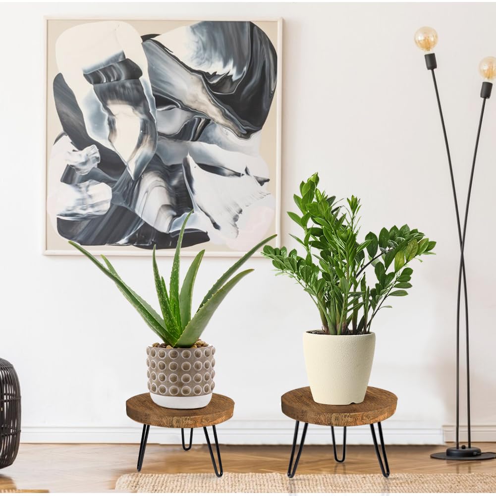 OBTAIN Plant Stand Indoor Outdoor Wood Mid Century Plant Stand for Indoor Plants, Modern Plant Table Round Plant Stool, Boho Rustic Wooden Stool for Plant Pot Hol (L)