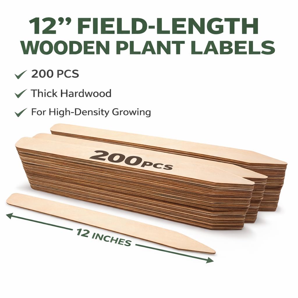 12" Wooden Plant Markers & Labels, 200 Pack – Wood Garden Label Stakes for Seed Starting, Outdoor Plants, Raised Beds & Greenhouse Use