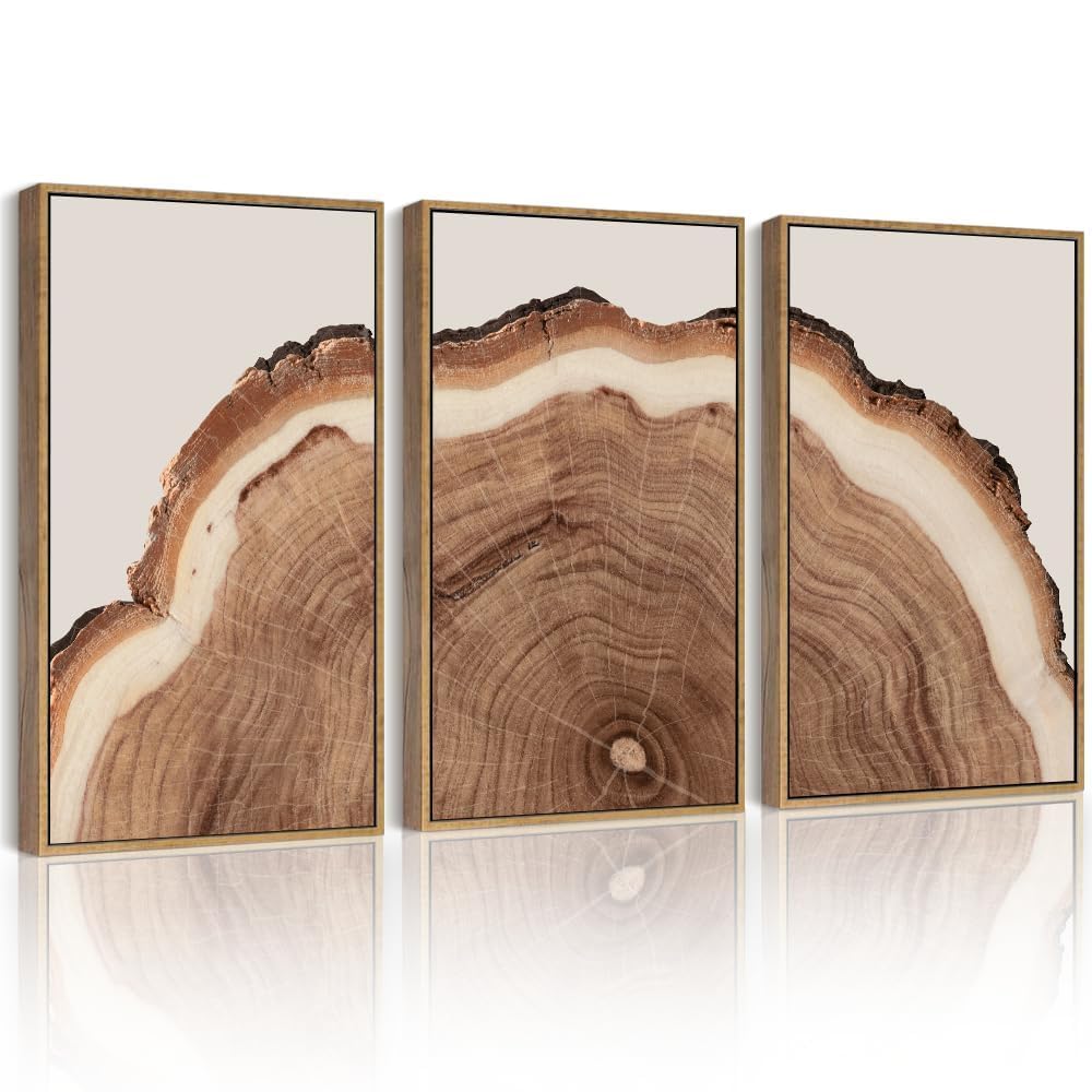 Drsoum Vintage Retro Tree Rings Wood Framed Wall Art Modern Wood Stump Nature Rustic Artwork Bedroom Living Room Ready to Hang 11x14in Natural Framed