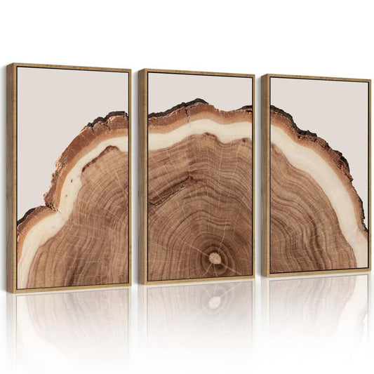 Drsoum Vintage Retro Tree Rings Wood Framed Wall Art Modern Wood Stump Nature Rustic Artwork Bedroom Living Room Ready to Hang 11x14in Natural Framed