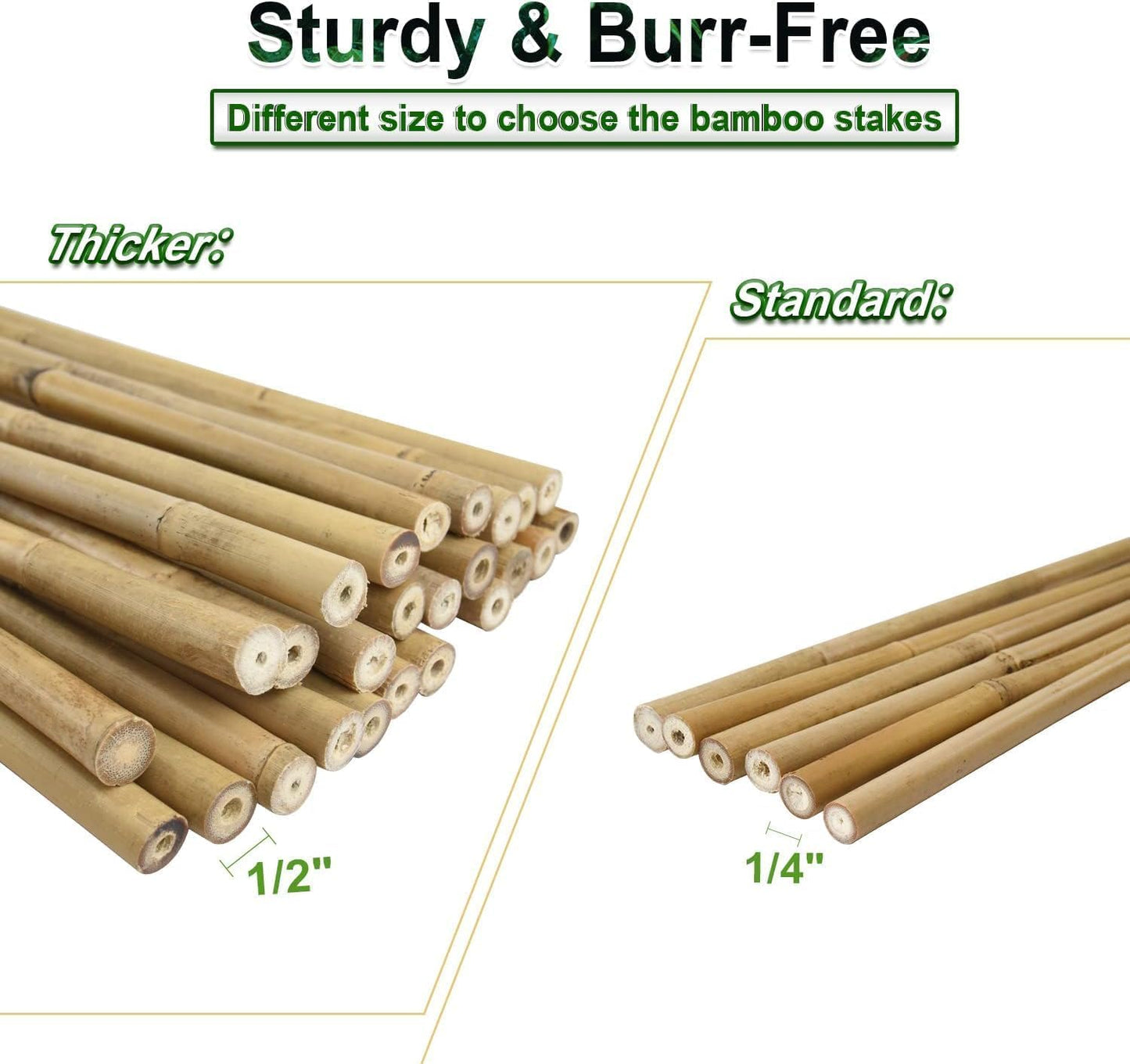 Jollybower 1/2" D 4 Feet Bamboo Stakes 50 Pack, Thicker Heavy-Duty Plant Stakes, Natural Garden Stakes for Bean, Tomato, Bean, Flowers,Trees Potted and Climbing Plant Support