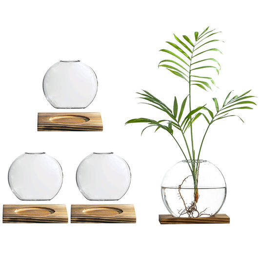 wangsdjy Glass Planter Propagation Station with Wooden Base - Clear Oblate Hydroponic Vase, Decorative Desktop Flower Vase for Home, Office, Windowsill - Gift for Plant Lovers (4)