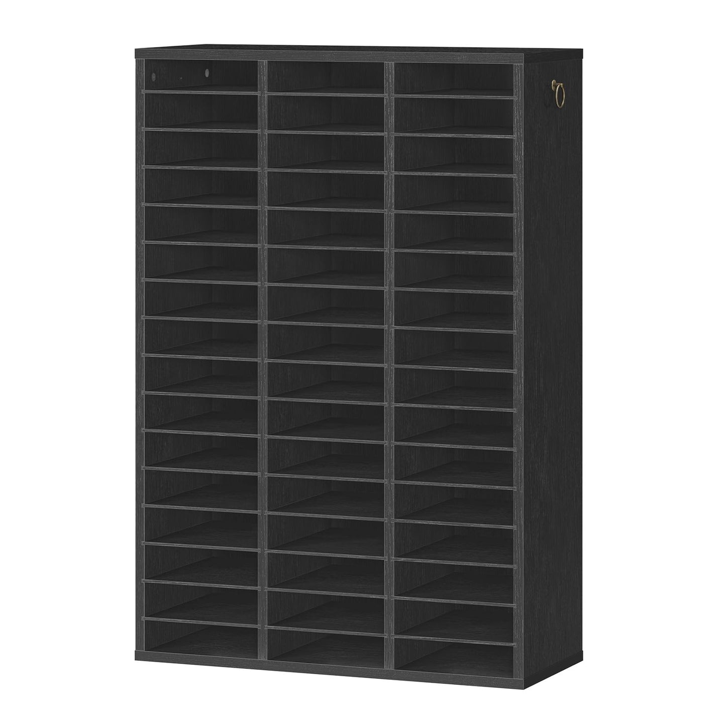 HOOBRO Literature Organizer, 48 Compartments Wooden Mail Organizer, Countertop Literature Sorter with Adjustable Shelves for Home, Office, School, Student Mailbox for Classroom, Black BK163WF01
