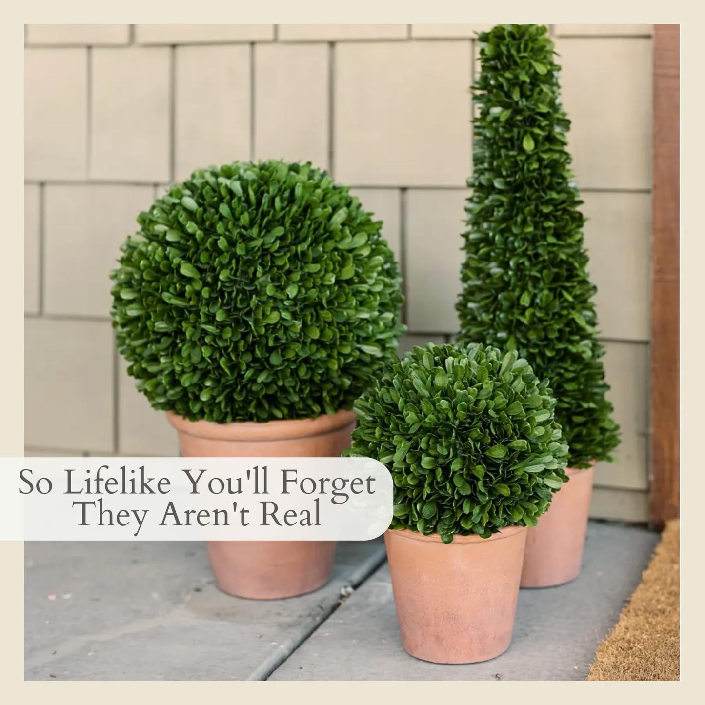 CG Hunter Faux Round Boxwood Plant, Premium Artificial Indoor Plant Stands 17" Tall, Lifelike-Leaves & Hand Painted Trunk, Planter Pot Included