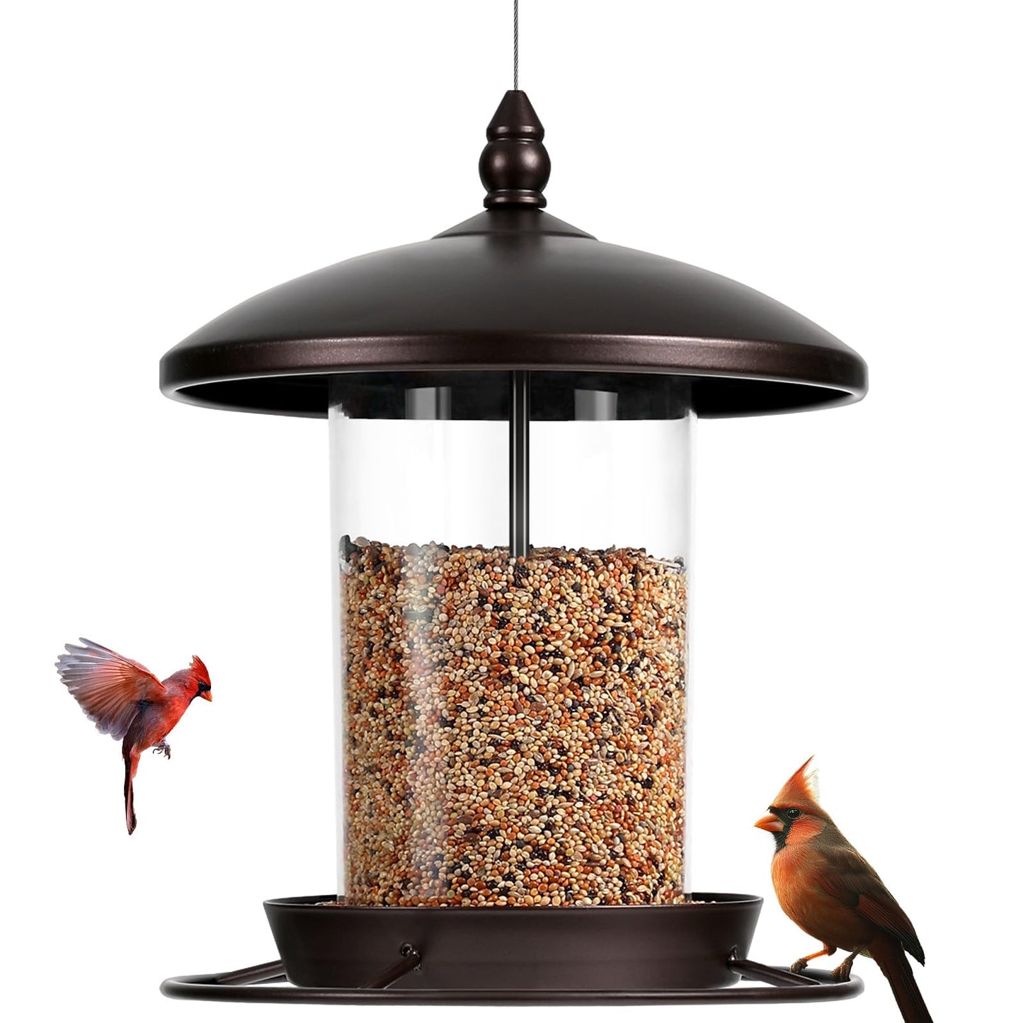 Metal Bird Feeder for Outdoors Hanging,3.0LB Seed Feeder,Easy to Fill & Clean,360° Feeding,Weatherproof Roof for Gardens and Wild Birds,Brown