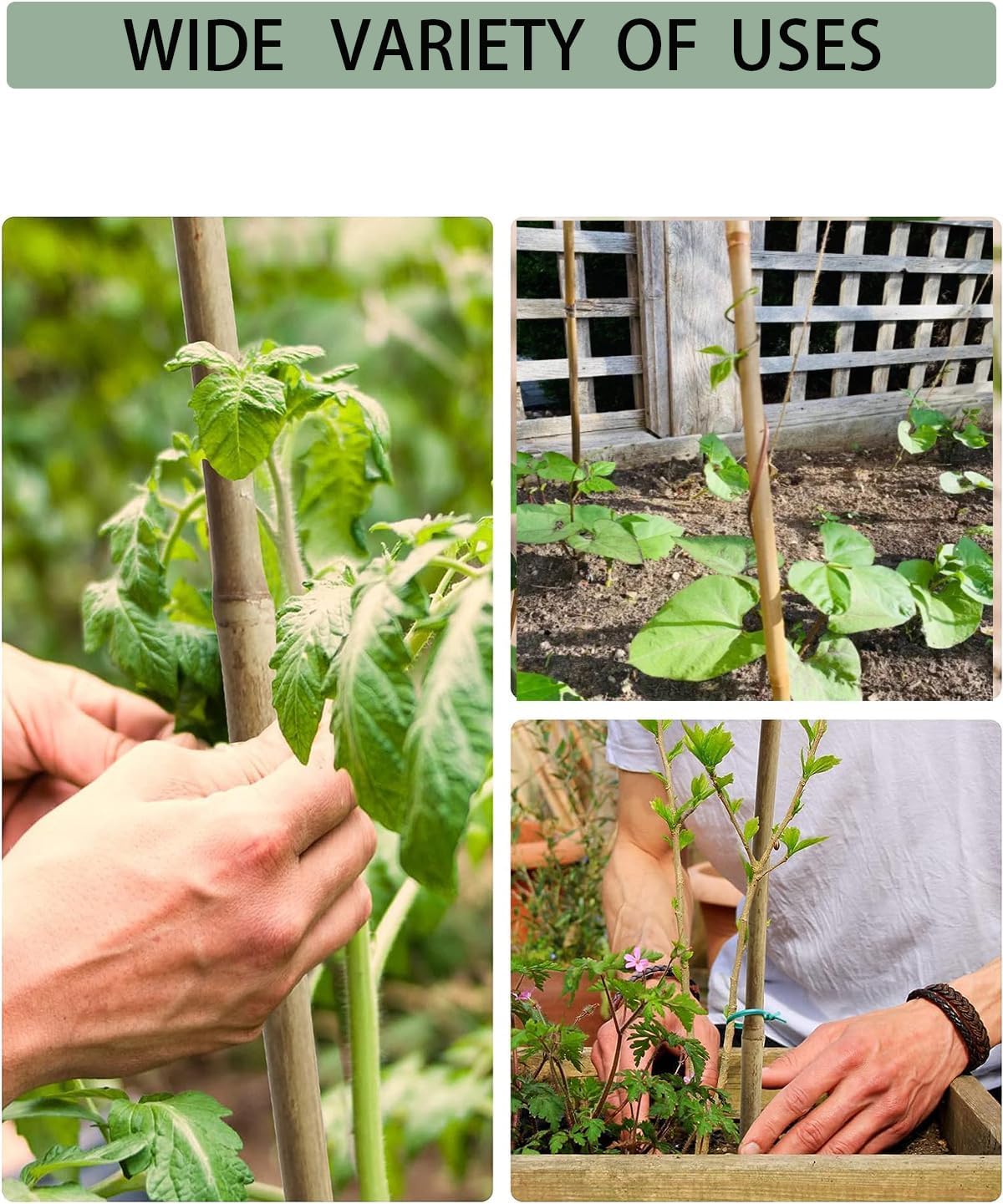 Moromyse 60 Pack Bamboo Stakes for Plant 5 Feet (58inch) with Twist Ties Bamboo Sticks Plant Support Garden Stakes Poles for Tomatoes Cucumber Grapes Pole Beans Trees Potted Dahlia Flowers