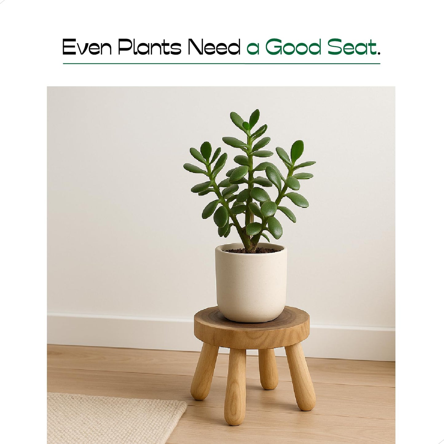ABBI NIMO Small Short Solid Wood Step Stool, Natural Growth Ring Wood Stool for Kids and Toddlers, Simple Minimalist Riser for Plants and Home Décor