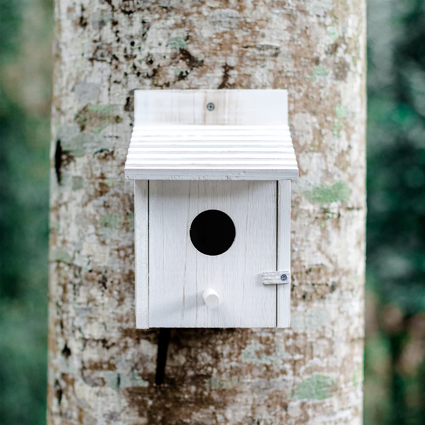 NATUREYLWL Wooden Bird House for Outside with Perch - Weatherproof Hanging Birdhouse for Finches, Bluebirds, Cardinals - Outdoor Garden Birdhouse with Easy Clean Design
