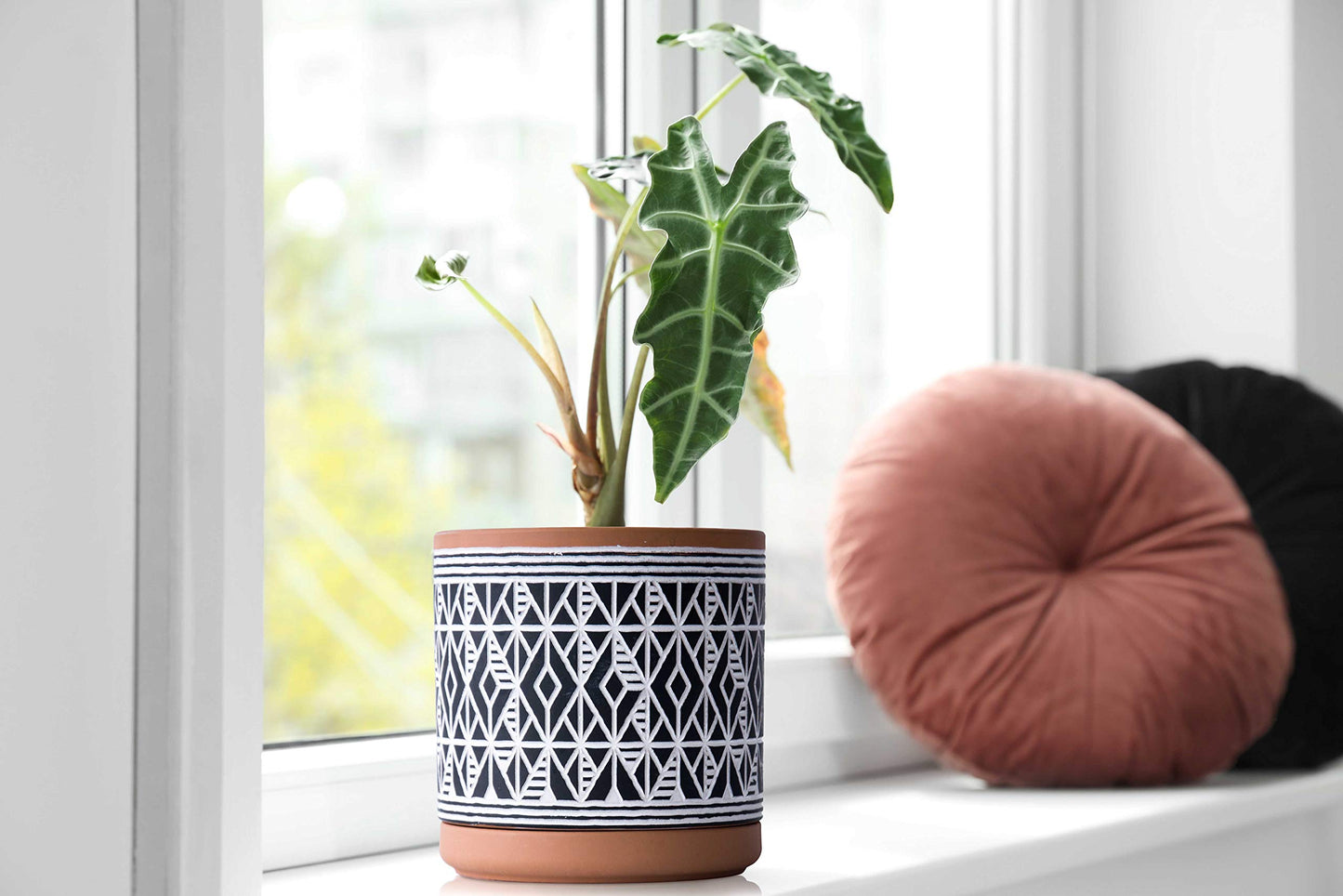 D'vine Dev Set of 2 Terracotta Pots, Diamond Pattern Planter Pot, 4 Inch and 6 Inch, Pot with Drainage Hole and Saucer, Terracotta/Black, 31-958-G-2