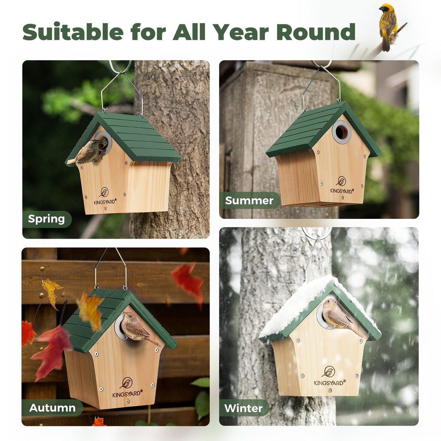 Kingsyard Wooden Bird House with Predator Guard, Wren Bird Nesting for Outdoor, Garden Patio Nest Box for Wild Bird Watching, Green