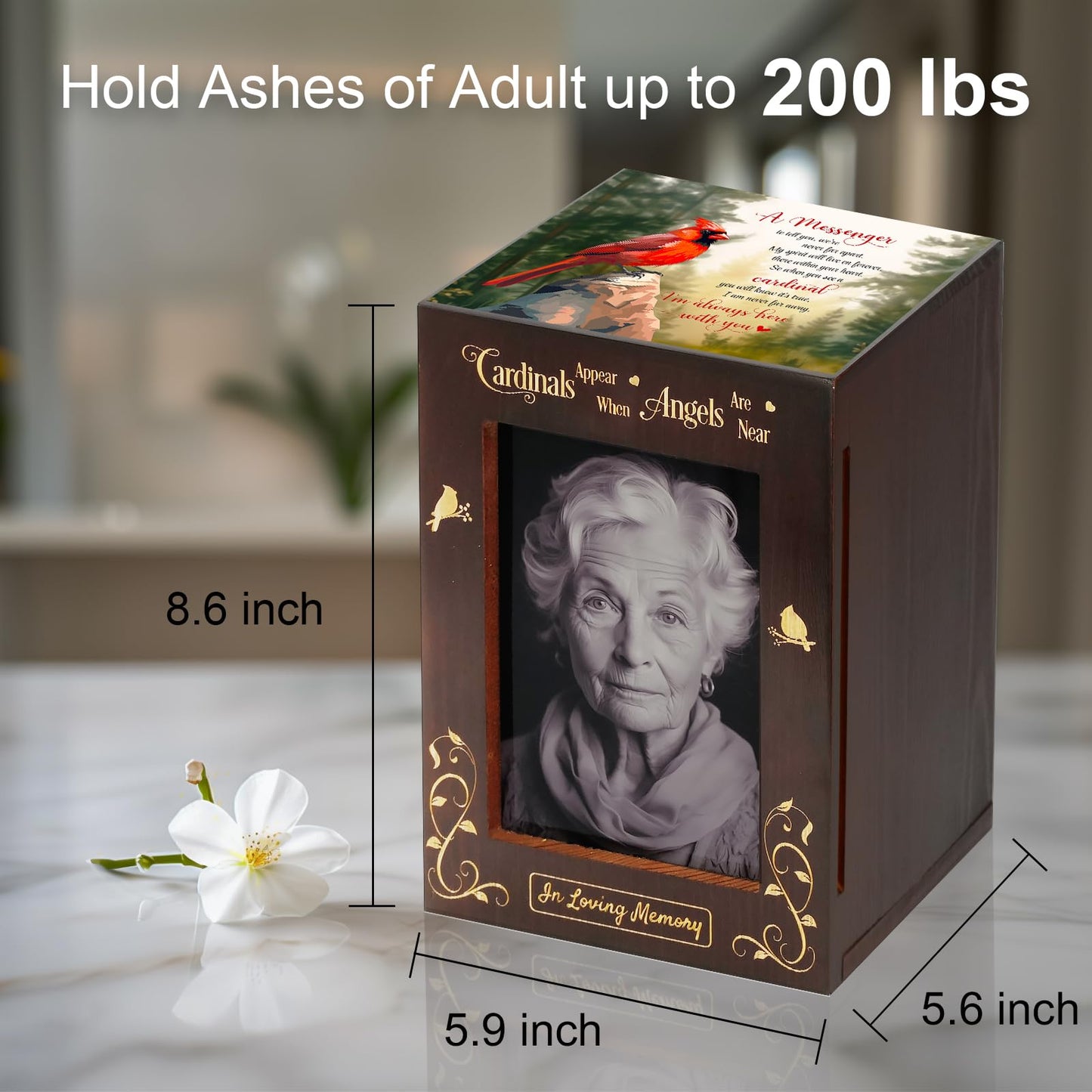 CHIEMOT - Wooden Cremation Urns with Photo Frame for Human Ashes Adult Female Male, Wood Urns Box and Casket, Funeral Decorative Urn with Picture for Adults Up to 200 lbs (Large, Cardinal)