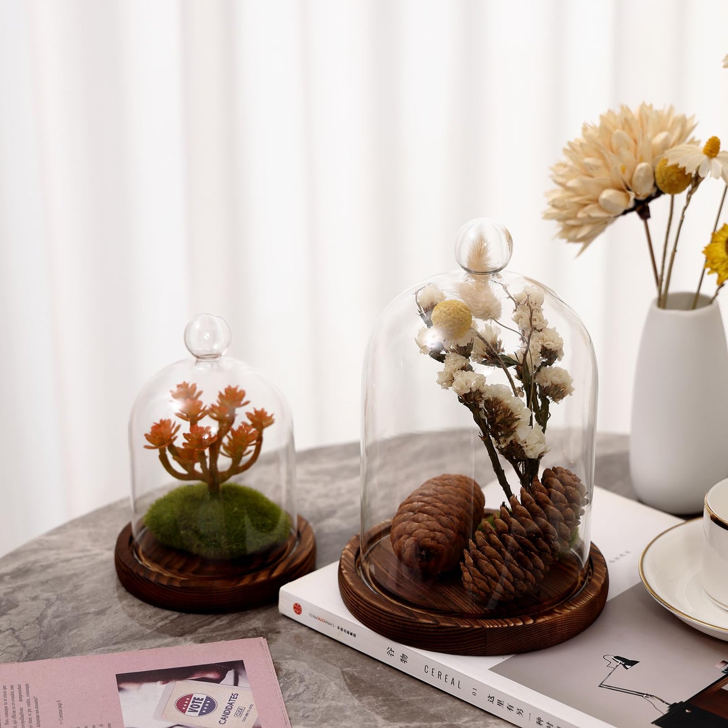 REFSAVER Glass Dome with Base,Glass Cloche Bell Jar,Display Case with Wooden Base for Plants,Collectibles (4.7 * 6.3 inches)