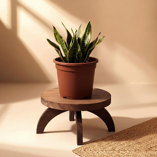 Novabright 2 Pcs Short Plant Stand Small Wood Plant Stool Low Wood Riser Pedestal Display Decor Indoor Outdoor Rustic Farmhouse Table Balcony Decor Board Flower Holder Rise (Round,Rustic Color)