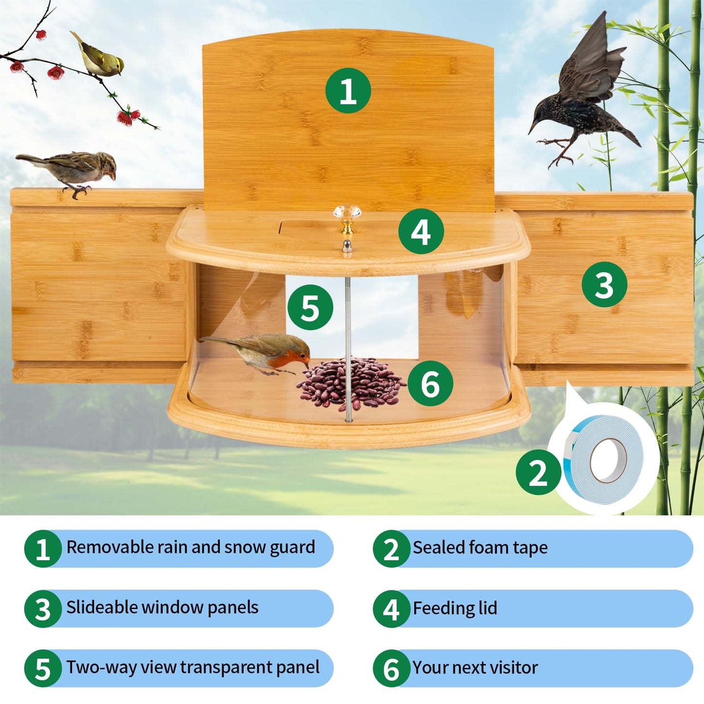 FL Falatier Window Bird Feeder Birdwatching Indoors,180° Ultimate Clear View Wild Bird Feeder Brings Nature's Beauty to Your Home/Office Hanging Bird Feeder House Bamboo Nature