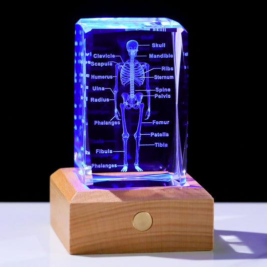 Arikyrist 3D Crystal Human Skeleton Anatomy Model – Laser Etched Medical Decor with Wooden Colorful LED Base Figurine Paperweight for Doctors & Students Psychology Graduation Gift for Him Her