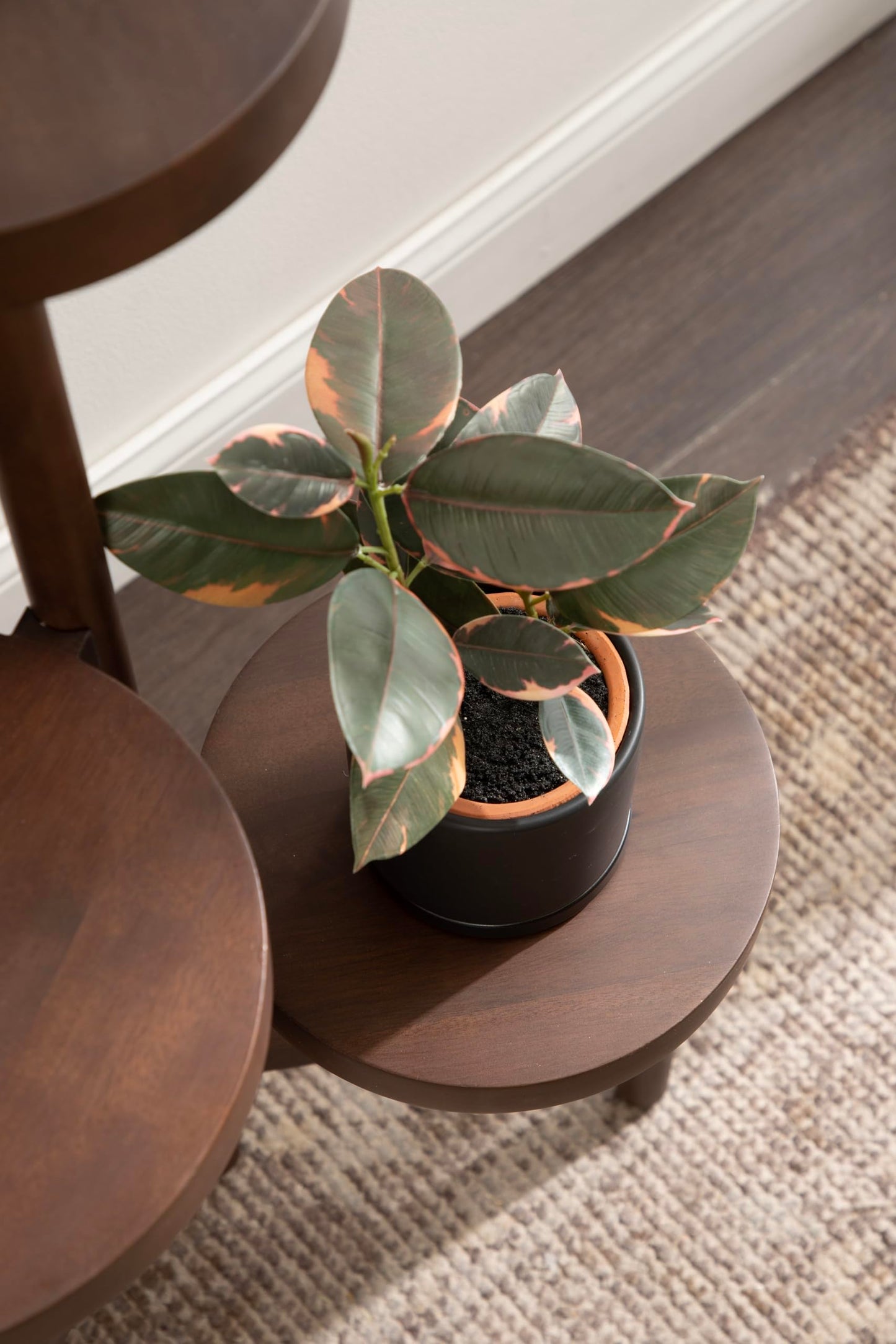 Kate and Laurel Fitley Modern Three-Tier Freestanding Plant Stand, 16 x 16 x 35, Dark Brown, Decorative Tiered Mango Wood Plant Stand for Useful House Plant Decor