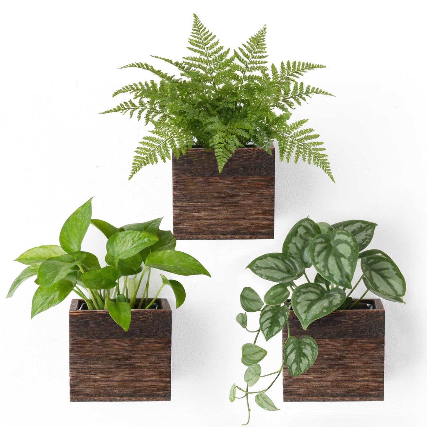 Dahey Hanging Artificial Plant Eucalyptus Wall Decor and 3 Pack Wood Wall Hanging Planter Boxes for Rustic Farmhouse Living Dining Room Bathroom Bedroom Kitchen Garden Home Decor