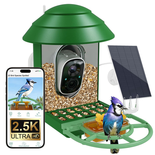 Birdigmar Bird Feeder with Camera,2.4G/5G Dual Band WiFi Smart Solar Power, AI Identification & 2.5K Ultra HD Video,Wireless Outdoor Bird Watching Feeder,Weatherproof, ldeal Gift for Bird Lovers,Green