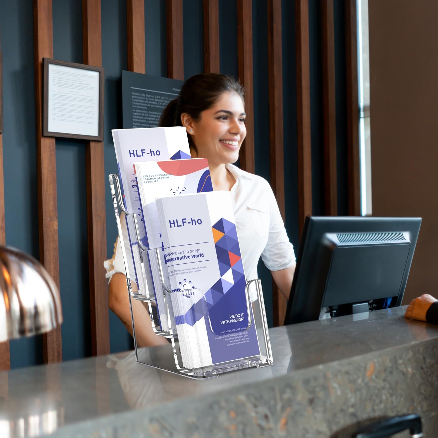 HLF-ho Brochure Holder 4x9 Inch 3 Tier Acrylic Literature Holders Clear Plastic Flyer Display Stand Countertop Use or Wall Mount Pamphlet Holder Organizer for Office, Lobby, Hotel, Trade Show, 4 Pack