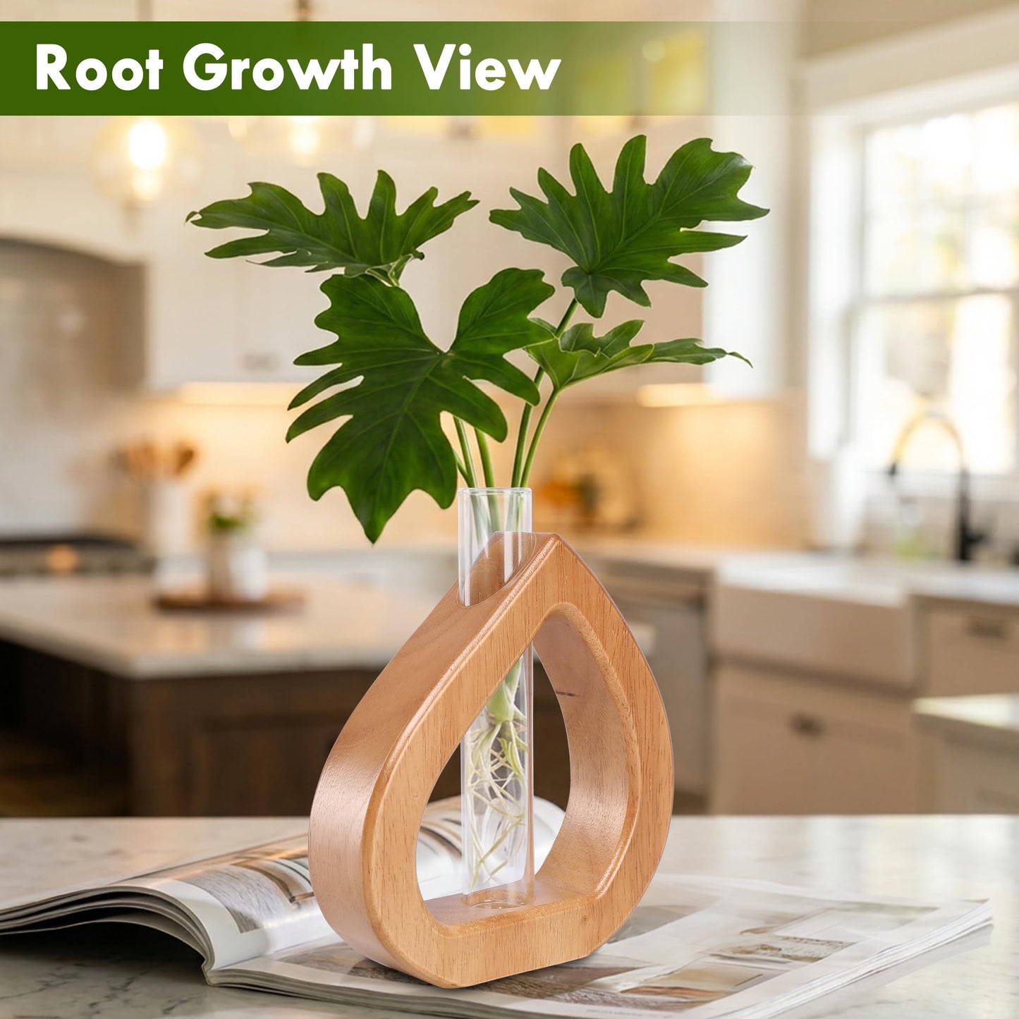 Chonsun Propagation Stations Planter Terrariums Wall Hanging Test Tube Desk Decorations with Wooden Stand Plant Terrarium Office Decor Gifts for Plant Lover Gifts