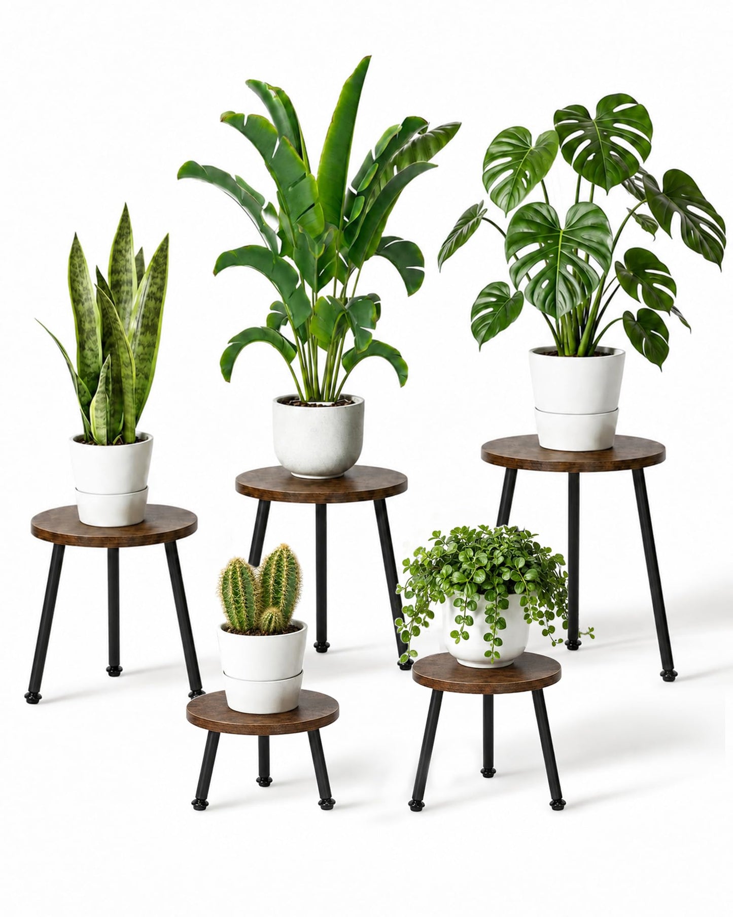 GENTINGBRO 5 Pack Wood Plant Stands Indoor, Round Plant Stool Set with Iron Legs, Heavy Duty Plant Stand Table, Wood and Metal Flower Pot Stand for Living Room, Bedroom, Balcony, Brown/Black
