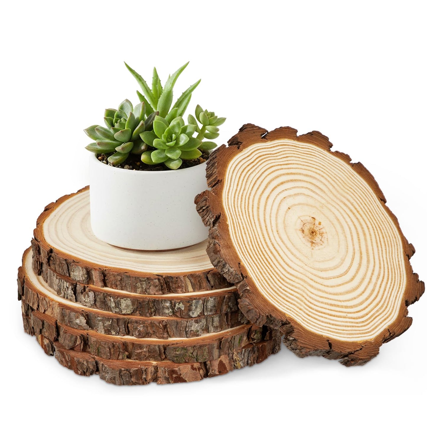 Large Unfinished Natural Wood Slices - 6 Pcs Natural Round Discs Rustic Wood Slices 7.9-9 Inch Wooden Tree Bark Discs for DIY Crafts Centerpieces Table Base Decoration Wedding Ornaments Coasters