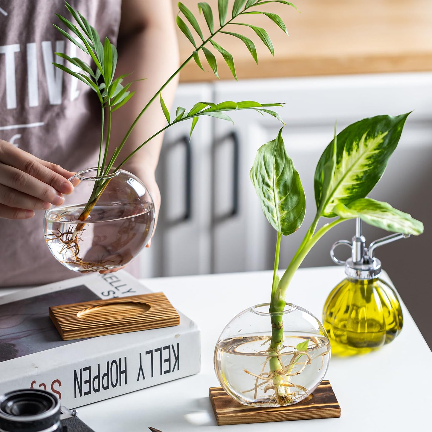 wangsdjy Glass Planter Propagation Station with Wooden Base - Clear Oblate Hydroponic Vase, Decorative Desktop Flower Vase for Home, Office, Windowsill - Gift for Plant Lovers (6)