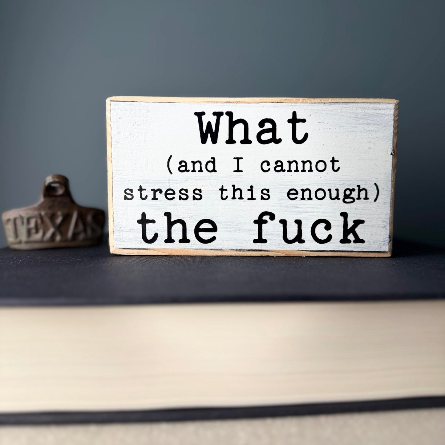 What (and I cannot stress this enough) the f*ck. Office desk wood sign. Wooden shelf sitter. Cubicle quotes. Gifts with quotes. Gift for best friends. Morning motivation. Quote of the day.