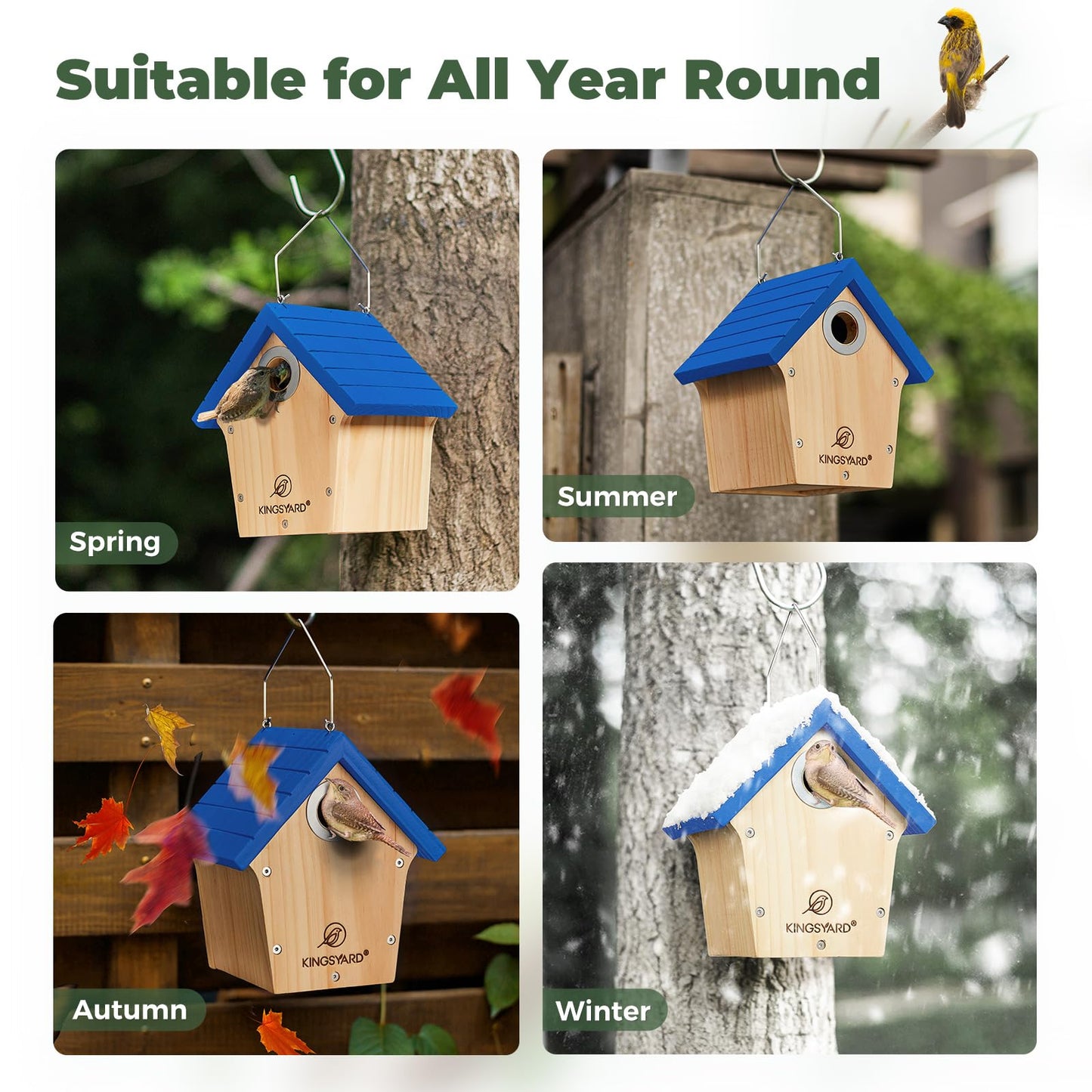 Kingsyard Wooden Wren House with Predator Guard, Bird Nesting for Outdoor, Garden Patio Nest Box Birdhouse for Wild Bird Watching, Royal Blue