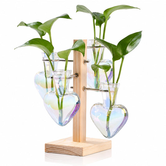 Nacome Plant Terrarium Propagation Stations: Clear Vase with Wooden Stand
