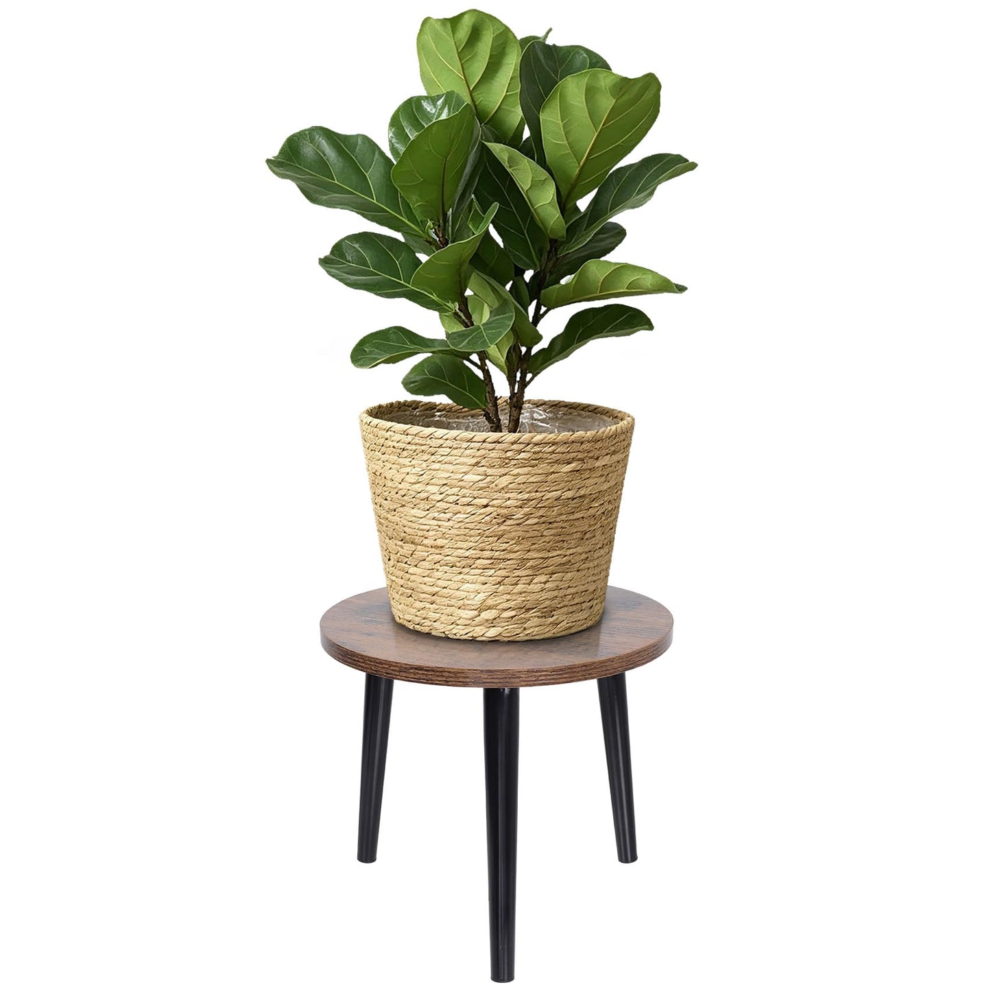 Phyluckny Round Plant Stand Indoor, Mid Century Wood Plant Table, Heavy Duty Metal Stool for Plants, Modern Flower Pot Holder, Small Side End Table for Home Decor (Walnut, 9.4"x7.8")