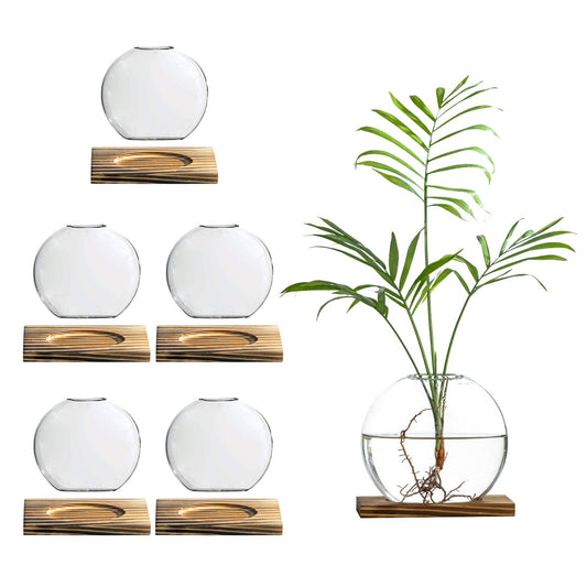 wangsdjy Glass Planter Propagation Station with Wooden Base - Clear Oblate Hydroponic Vase, Decorative Desktop Flower Vase for Home, Office, Windowsill - Gift for Plant Lovers (6)