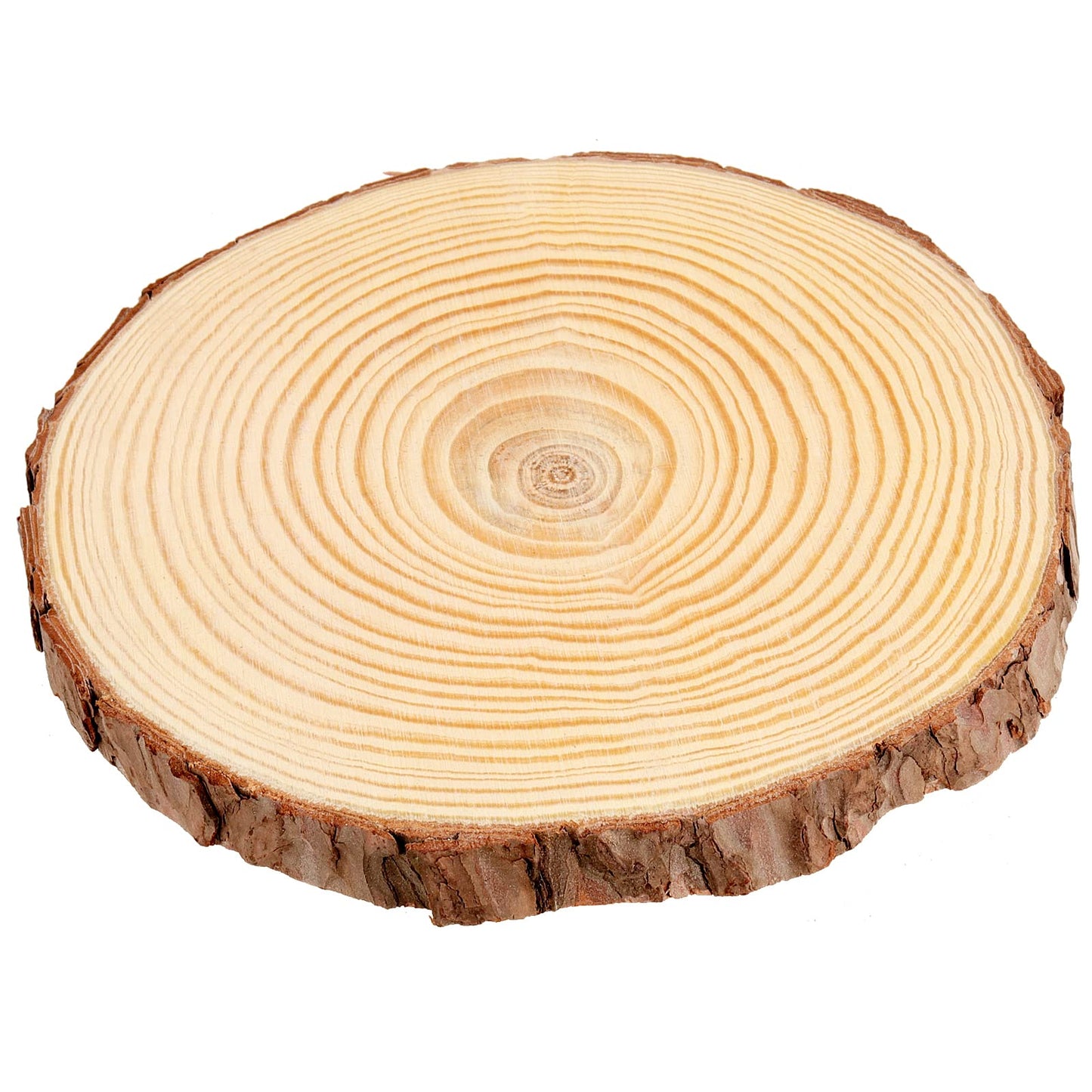 MUKCHAP 10 Pcs 6.3-7 Inch Natural Pine Wood Slices, 0.6 Inch Thick Unfinished Wood Discs for Festival Ornaments, Wedding Decoration, DIY Craft