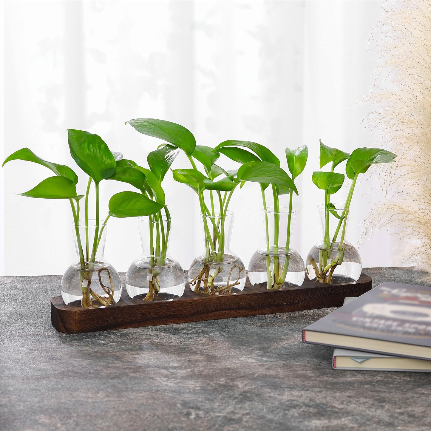 YIBOT Propagation Vases for Plants Terrarium with Wooden Tray,5 Glass Vases