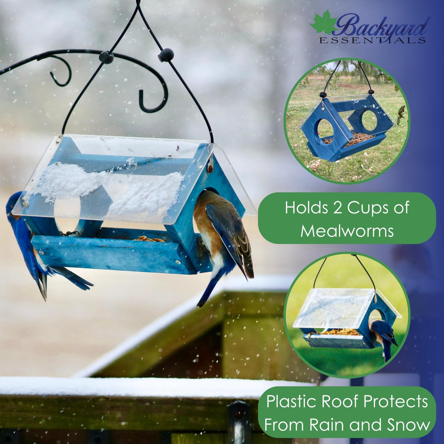 Backyard Essentials Petite Bluebird Feeder with Plexiglass Roof and Powder Coated Steel Mesh Basket Bird Feeder Tray