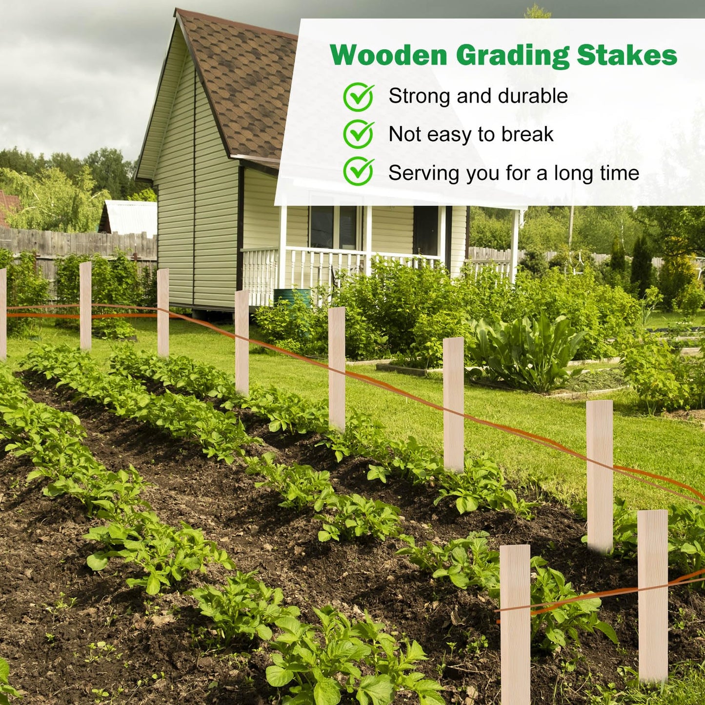 30 Pack Wooden Garden Stakes 12 Inch Solid Wood Marking Stakes for Landscaping Plant Support Yard Layout Survey Fence and Boundary Identification