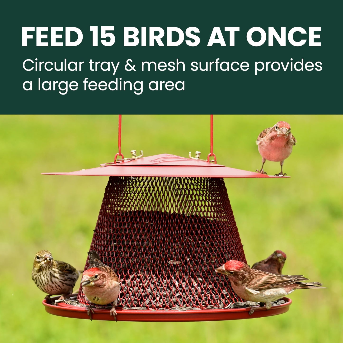 Perky-Pet Red Cardinal Wild Bird Feeder - 2.5 lb Seed Capacity, Holds Up to 15 Birds Simultaneously, Metal Hanging Feeder for Outdoors, Collapsible Mesh Design, Built-In Hook & Circular Tray, C00322